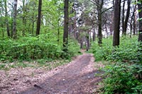 Кабмин вернет лесхозу выданный под застройку участок заповедника