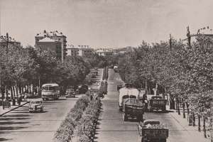 Каким был бульвар Дружбы Народов в 50-60-х годах. Фото