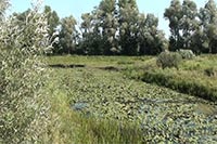 Участников АТО поселят в Быковне