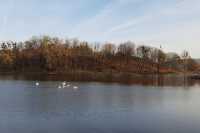 В Золочеве создадут зону отдыха на острове