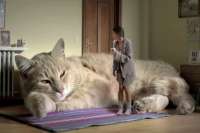 Нужно ли украинцам центральное отопление