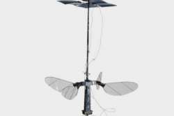 Создан самый маленький в мире робот-пчела, работающий на солнечной энергии