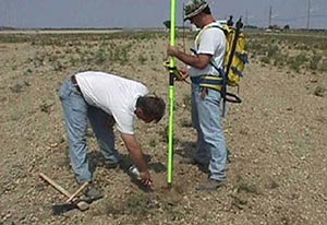 В 2013 г. денежную оценку земель провели всего в 300 поселениях