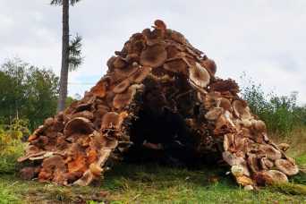 Архитекторы создали съедобную хижину