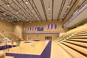 Новый глава Львовской ОГА решил построить еще одну базу к «Евробаскету»