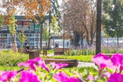 Киянам не подобаються МАФи бiля станцiй метро