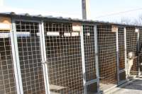 Киевские животные в этом году приют не получат