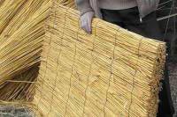 Появился новый экологический изоляционный материал - камышит