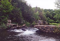 На Прикарпатье через три года после разрушения надумали ремонтировать дамбу