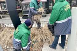 Зеленi зони Днiпра почали готувати до весняно-лiтнього сезону