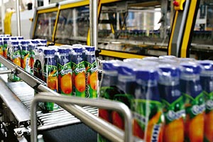 «Сандора» с нарушениями достраивала свой склад