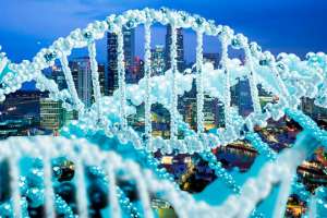 Дизайнерские приколы: ДНК городов. Фото