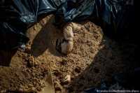 Что юристы говорят об обвинении России в геноциде