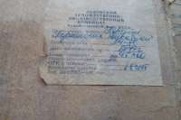 Львовские художники оказались бандитами