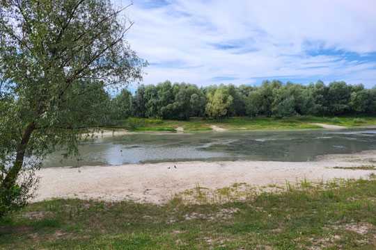 Наступного року на одному з київських озер зроблять пляж