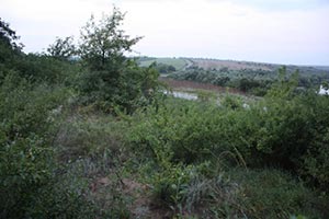 Под Уманью чиновники передали в аренду землю на 420 тыс. грн.