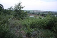 Под Уманью чиновники передали в аренду землю на 420 тыс. грн.