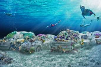 У берегов появится 11-километровый подводный парк