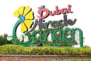 Как выглядит крупнейший парк-цветник в мире. Фото