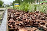 У Києвi облаштовано дощовi садки