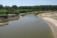 Над Сиретом обновят мост