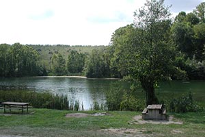 В Николаевской области рекреационные земли отдали под частный клуб