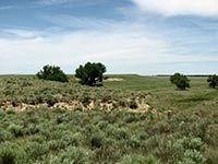 Запорожье нашло возможность увеличить площадь заповедных территорий