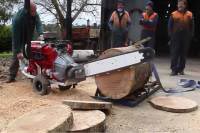 Как выглядит самая большая бензопила в мире. Видео