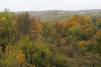 Возле Винниковского леса разрешили строить многоэтажки