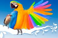 Рынок порошковых ЛКМ вырастет до 12,7 млрд евро к 2023 году