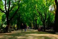 Как строили Одессу: Приморский бульвар. Видео-3