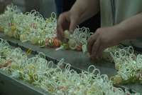 Балаклея накормит всех карамелью