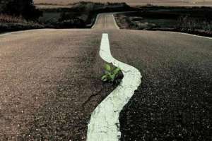 Волынские дороги раскрасят по демпинговым ценам