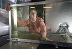 Американские специалисты совершенствуют технологию энергосберегающего окна