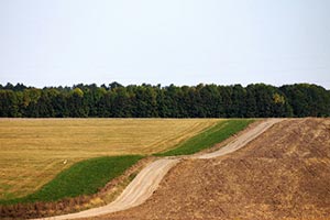 Киевская прокуратура требует от Госземагентства 545 га 