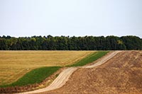 Киевская прокуратура требует от Госземагентства 545 га 