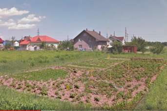 Как получить землю в аренду. Видео