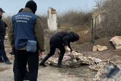 В Херсонской области нашли десятки свидетельств военных преступлений России