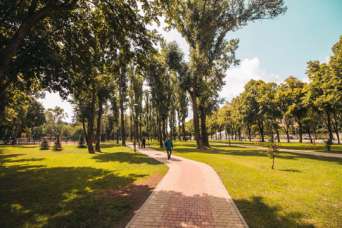 310 га юридически стали зелеными зонами в Киеве