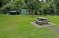 У Киевского медуниверситета забрали землю с лагерем