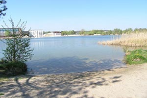 Землю у озера под Киевом оставили частнику