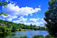 За два года в Киеве появилось 600 га зеленых зон