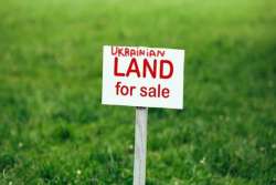 Большая часть бизнеса рада продаже земли иностранцам