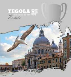 Бонусная программа Tegola Premio: битумная черпица Tegola Comfort