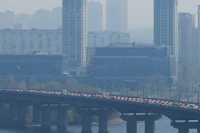 Киевляне могут обсудить становление зеленого города