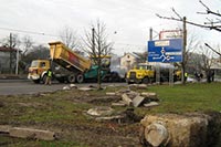 Львов восстанавливает улицы после зимы