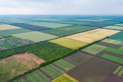 У земельной реформы уже 11 законопроектов