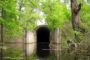 На Жуковом острове 12 незаконно лет арендовали землю
