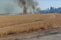 Как война уничтожает плодородную украинскую землю