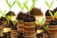 Для денежной оценки земель создали портал